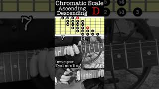 D chromatic scale ascending descending guitarlesson chromaticscale [upl. by Oglesby657]