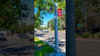 Cupertino DiariesA Variety Of Architecture travelvlog Cupertino city California travel [upl. by Annovaj695]