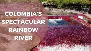 Caño Cristales River Colombias Liquid Rainbow or River of Five Colors [upl. by Llerat]