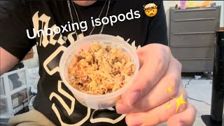 Unboxing ISOPODS [upl. by Anatak]