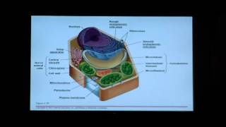 Biology Help Biology 123 Chapter 4 The Cell [upl. by Edylc426]