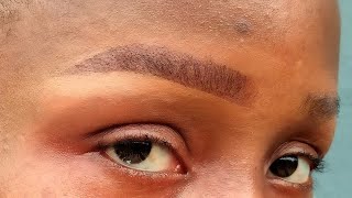 UPDATED Quick and Easy Natural Eyebrow Tutorial  Beginners Friendly [upl. by Sosthenna308]