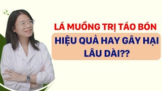 Có nên dùng lá muồng trị táo bón thường xuyên không  Tuấn Thầy Thuốc [upl. by Bethezel87]