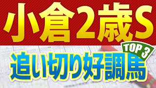 【小倉2歳ステークス2023】追い切りが抜群だった「トップ3」はこの馬だ🐴 ～JRA小倉2歳Sの競馬予想～ [upl. by Alicul]