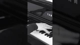 Frédéric Chopin “Raindrop” Prelude in D Flat Major Op 28 No 15 prelude chopin [upl. by Haimerej]