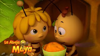 El Nacimiento De Maya 🐝👶  Capítulos completos  La Abeja Maya [upl. by Sanger]