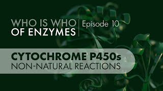 Who Is Who of Enzymes Cytochrome P450 Monooxygenases Nonnatural Reactions [upl. by Judon]