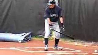 Ichiro Suzuki bunting [upl. by Ainiger]