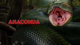 Anaconda 1 1997 Explained In Hindi  Prime Video Anaconda Movie हिंदी  उर्दू  Pratiksha Nagar [upl. by Bearnard]