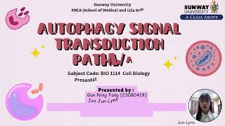 8 Autophagy Signal Transduction Pathway [upl. by Nahta]