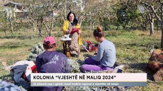 Kolonia “Vjeshtë në Maliq 2024” 15 piktorë nga i gjithë vendi hedhin ngjyrat e vjeshtës në telajo [upl. by Kass]