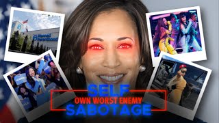 How the Democrats SABOTAGE themselves [upl. by Lehacim822]