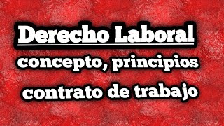 quotAudio Completo Ley Federal del Trabajo 2023 PARTE 1 Artículos 1 al 245 bisquot [upl. by Cralg]