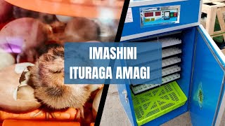 the only TV how to make automatic incubator machine at home nigute wakora imashini ituraga amagi [upl. by Bar]