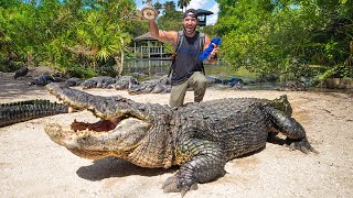 Searching For Treasure below 2500 MASSIVE ALLIGATORS Sneaky Crocodile Surprise [upl. by Esch]