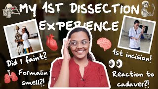 My 1st Anatomy Dissection Experience🧠✨️🧿 1st year MBBS Story time🫀👀 Happy Harshita ✨️ [upl. by Guillaume]