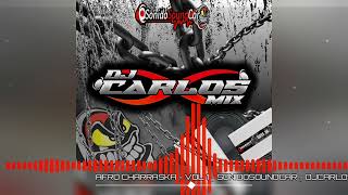 AFRO CHARRASKA  VOL 1  SONIDOSOUNDCARR🔊  DJCARLOSMIX🔥584124202233 [upl. by Nuahsyar]