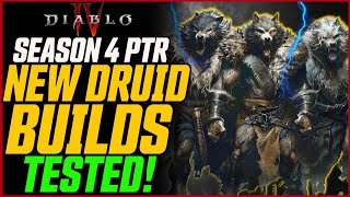 New Druid Changes Tested Companions Are AMAZING  New Uniques amp More  Diablo 4 Season 4 PTR [upl. by Moreno642]