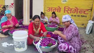 व्यवसायी रूपमा गरिएको फूल खेती  Floriculture in Nepal [upl. by Arinayed]