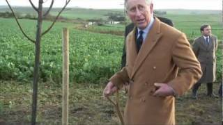 The Prince of Wales plants trees to commemorate The Duke and Duchess of Cambridges wedding [upl. by Yrrek99]