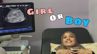 GENDER REVEAL  REACTION FAMILYY [upl. by Enicar]