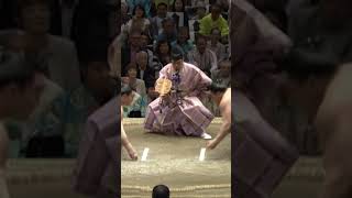 Day 11 Natsu 2016 May  Grand Sumo Japan grandsumo japan japansports sumo tournament wrestler [upl. by Ecirahs543]