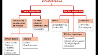 AntiAmoebic Drugs [upl. by Nassah]