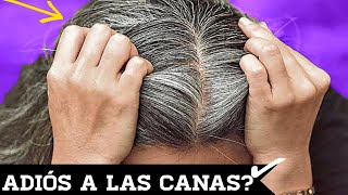 COMO CUBRIR las CANAS paso a paso [upl. by Naivad]