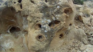 The Hunt for Baculites in the Book Cliffs of Colorado [upl. by Lamonica]