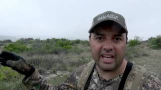 Long Range Texas Aoudad [upl. by Vharat]