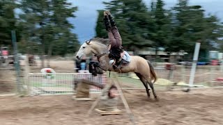 Clément Mizzi et Diamento Voltige obstacles [upl. by Anavi759]