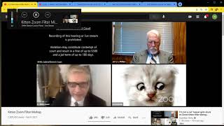 Cat Lawyer Filter Technically Explained [upl. by Nolrev]