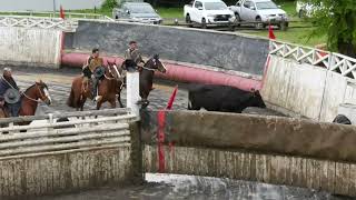 CAMPEONES RODEO ASOCIACION RIO RAHUE 2 Y 3 DE NOVIEMBRE DE 2024 [upl. by Anayit]