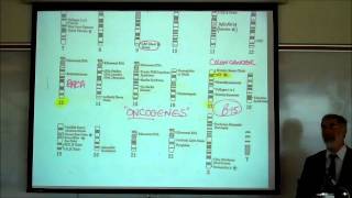 GENES amp DNA REPLICATION by Professor Fink [upl. by Iormina]