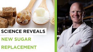 A Sugar Substitute That’s Good For You The Science Behind Allulose  with Dr Bikman  EP 169 [upl. by Atteselrahc575]