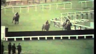 Ten Up The 1975 Cheltenham Gold Cup [upl. by Idell]