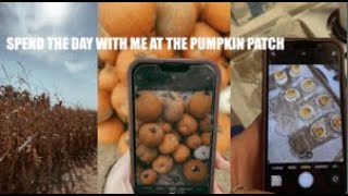 SPEND THE DAY WITH ME fall edition vlog [upl. by Eneleuqcaj]