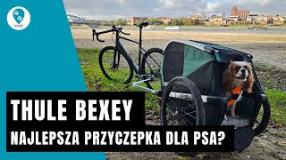 Thule Bexey  najlepsza przyczepka na świecie dla psów [upl. by Ojeillib]