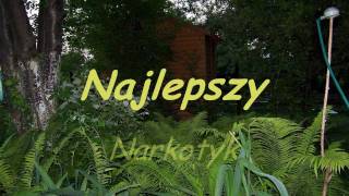 Najlepszy Narkotyk [upl. by Anirdnaxela831]