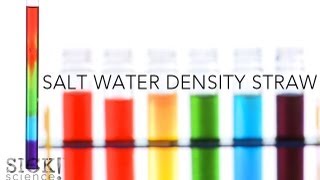 Salt Water Density Straw  Sick Science 140 [upl. by Okimat]