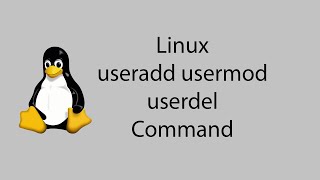 Learn Linux 13  useradd usermod userdel Command [upl. by Brendin]