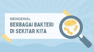 JenisJenis Bakteri dan Ciricirinya yang Perlu Diketahui jenis bakteria bakteri ciri [upl. by Creedon504]