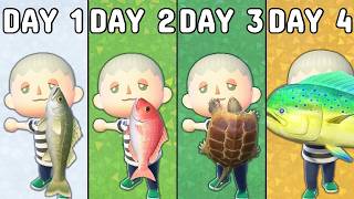 Catching Every Fish in 4 DAYS Animal Crossing New Horizons [upl. by Ihab]