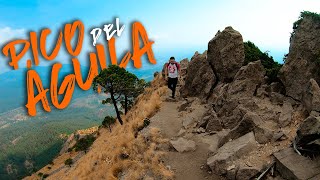 Hicimos cumbre en el Pico del Águila en el Ajusco dentro de la CDMX [upl. by Moureaux460]