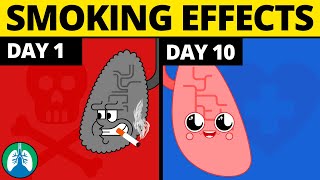 What Happens to Your Body When You Quit Smoking [upl. by Sokem]