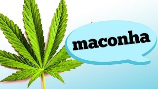 MACONHA FAZ MAL PARA A SAÚDE [upl. by Kaja]