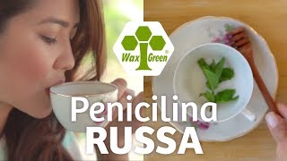 Chá “Penicilina Russa”  Receita [upl. by Ahsatak136]