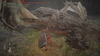 Lesser Magma Wyrm Dragon’s Pit – Solo Melee – Shadow of the Erdtree DLC – Elden Ring [upl. by Zeugirdor]