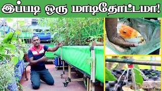 மாடித்தோட்டத்தில் இதெல்லாம் பண்ணலாமா Perfect Terrace Garden  Guna Garden Ideas [upl. by Alag]