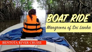 Boat Ride Through Mangroves in Bentota SRI LANKA [upl. by Eenat463]